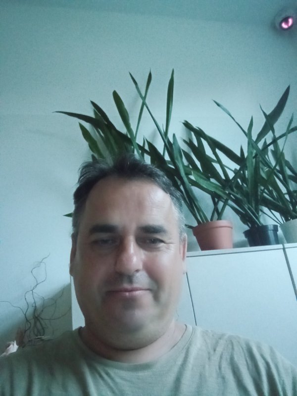 Szukam partnerki