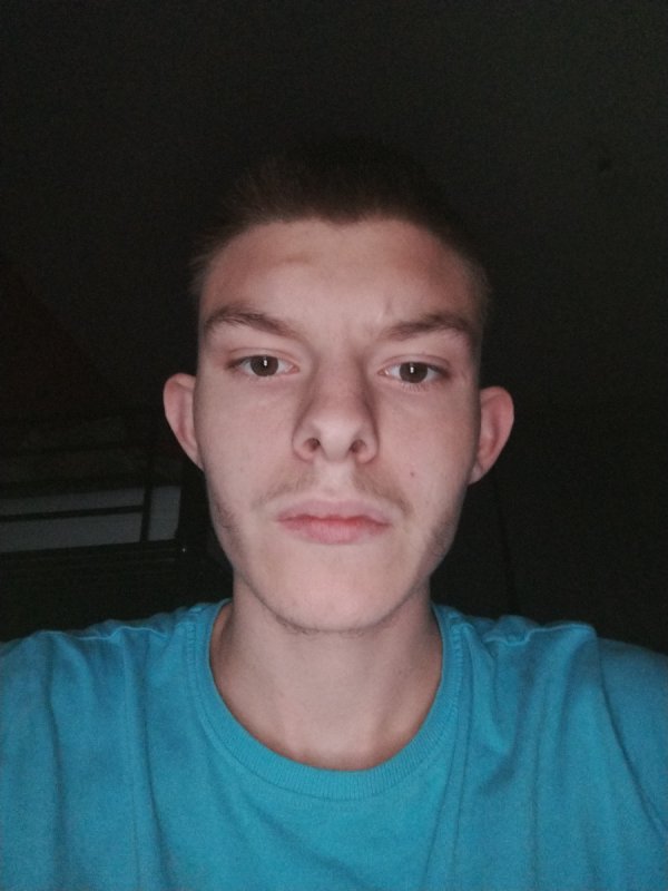 Elo mordy